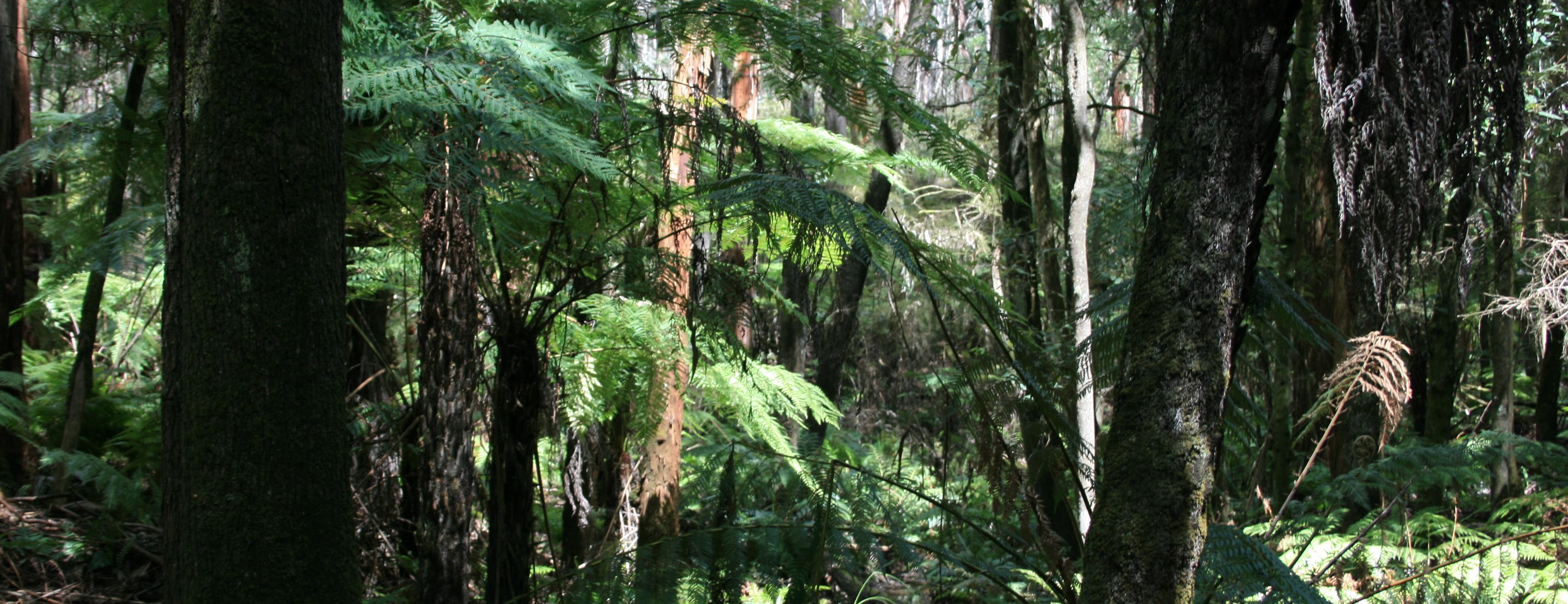 GiveNow John Leadbeater's Last Hurrah