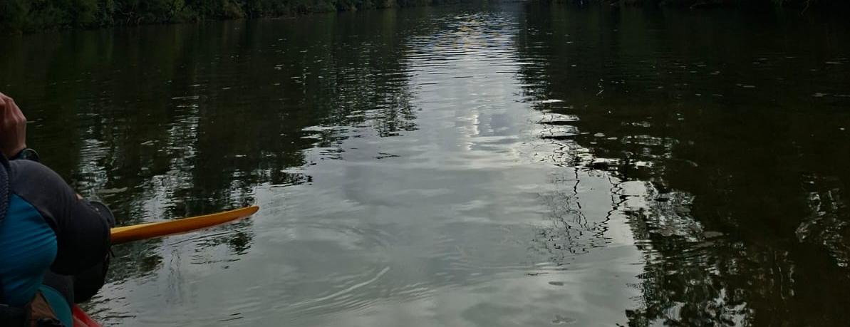 Cover Photo