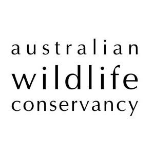Logo Photo