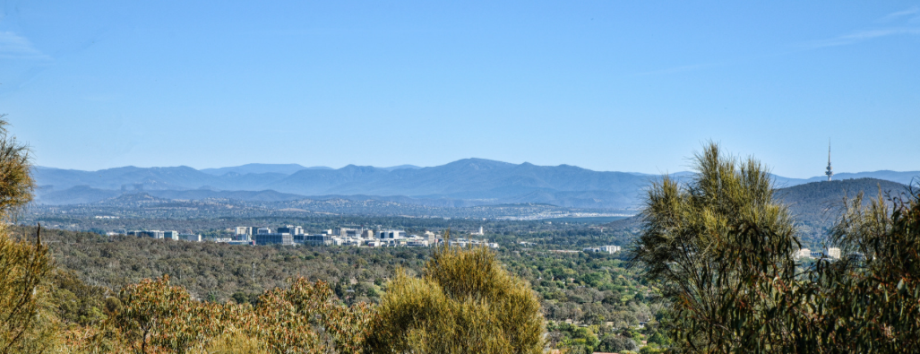 Cover Photo