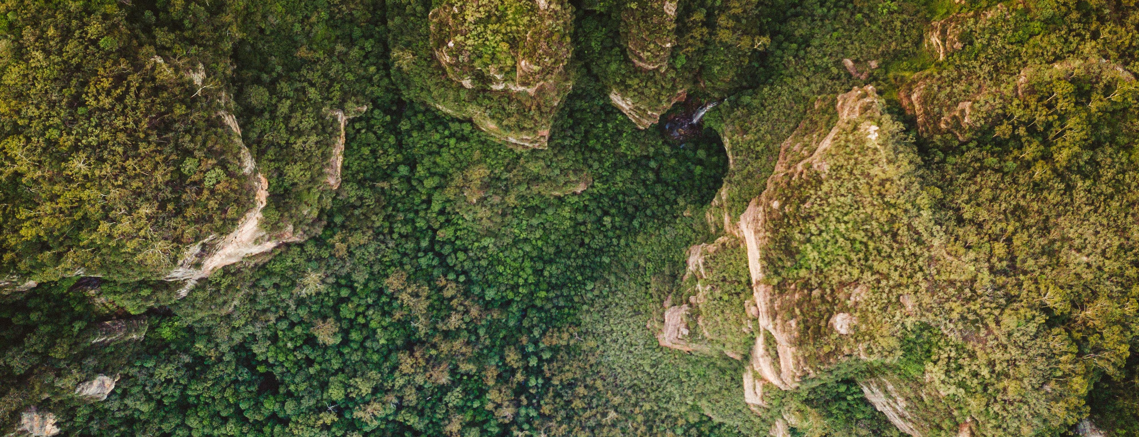 Cover Photo
