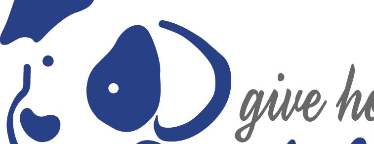 Cover Photo