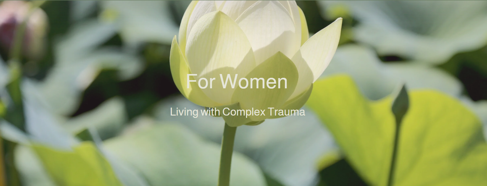 Cover Photo