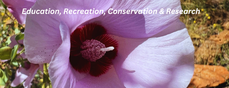 Cover Photo