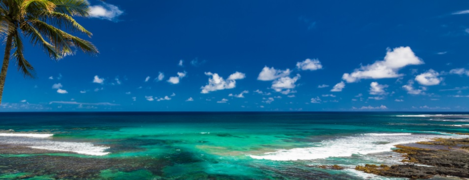 Cover Photo