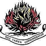 Logo Photo