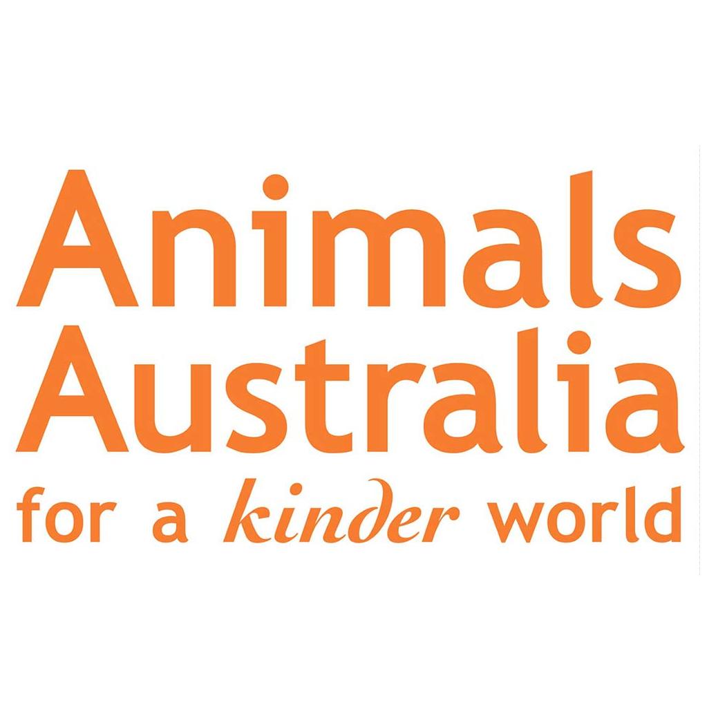 Logo Photo