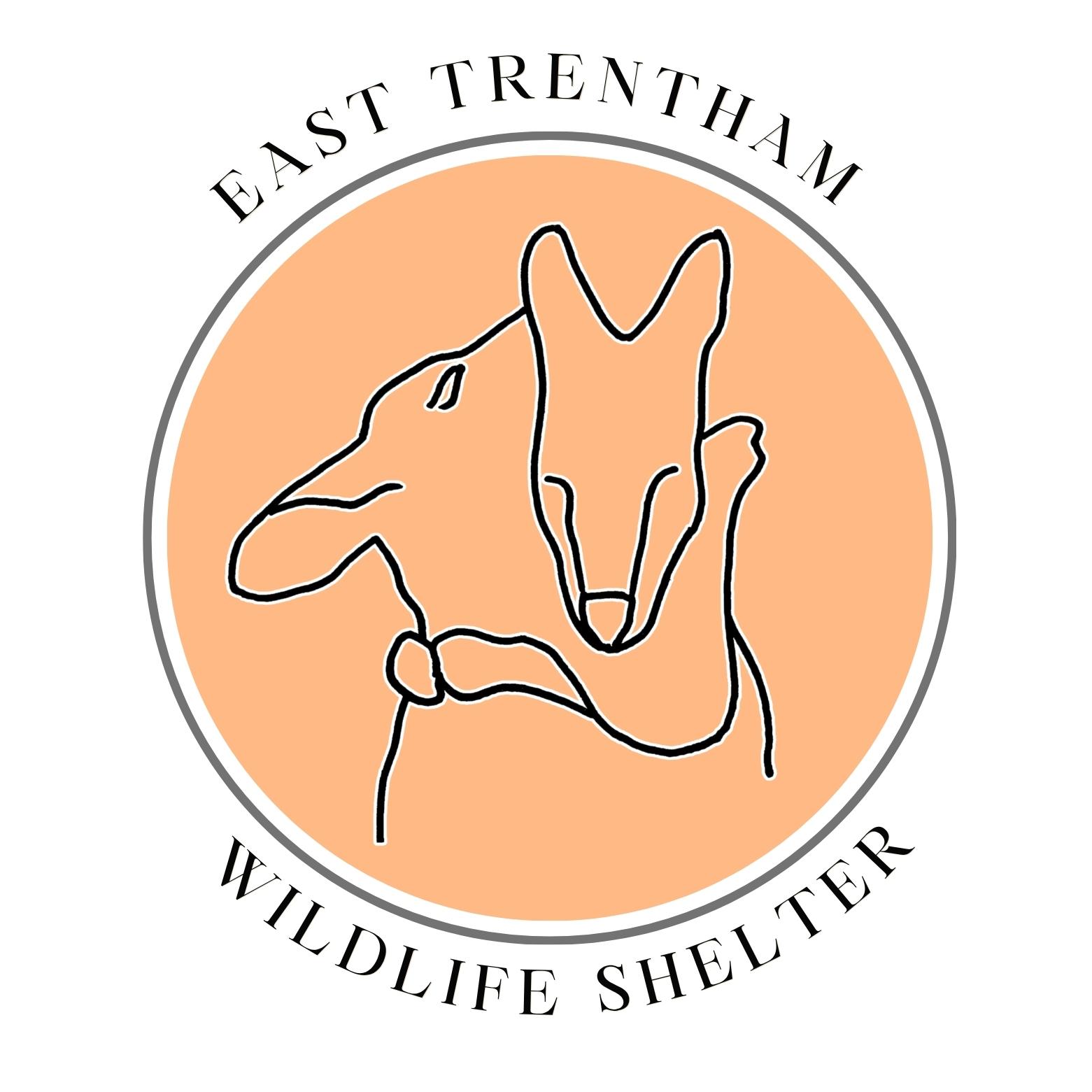 Logo Photo