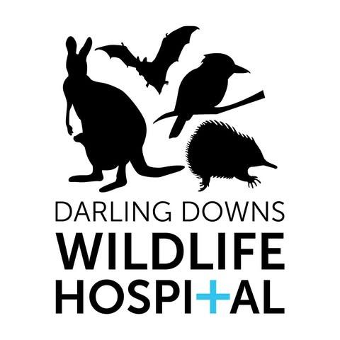 Logo Photo
