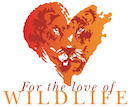 Logo Photo