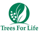 Logo Photo