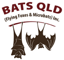 Logo Photo