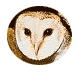 Logo Photo