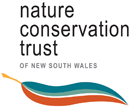 Logo Photo