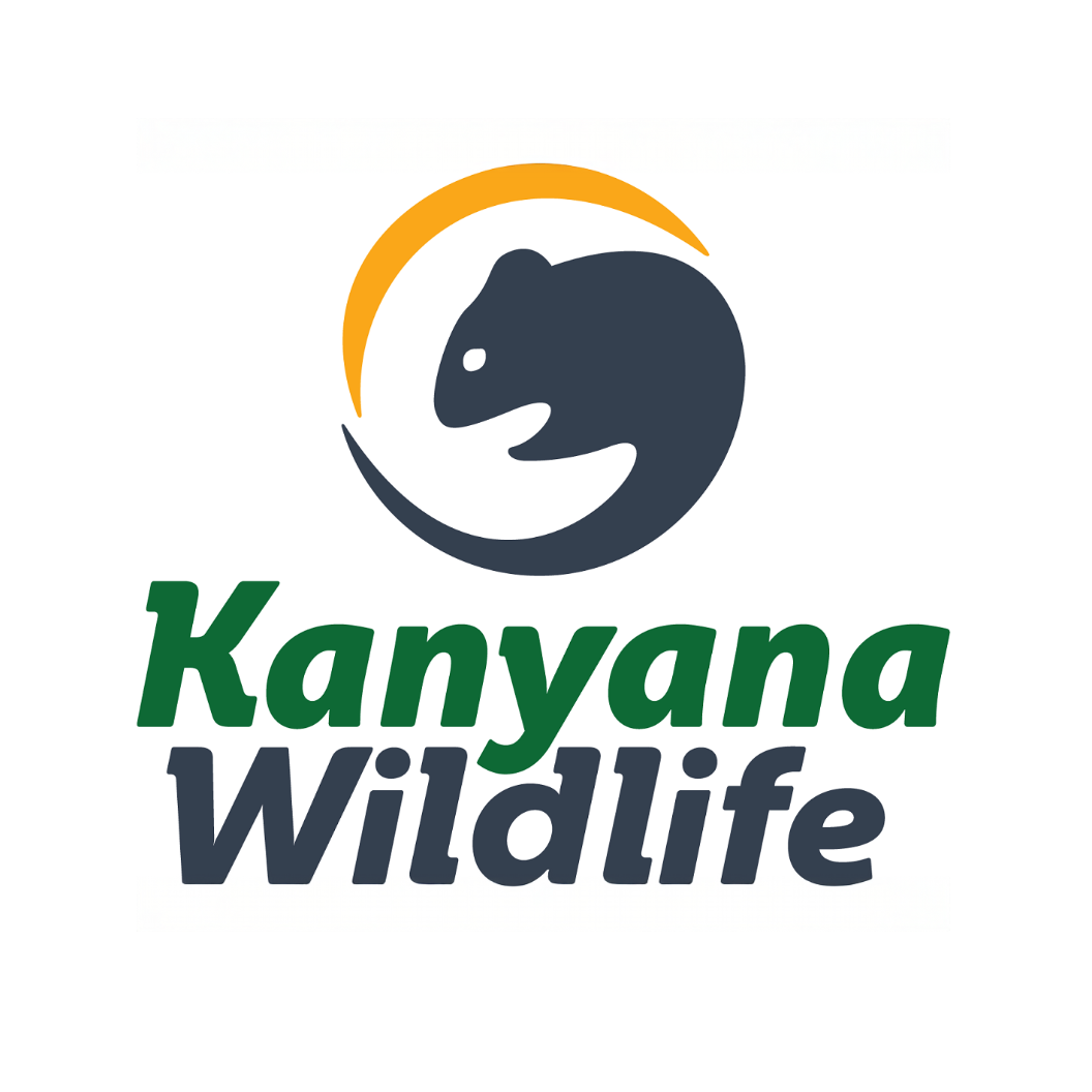 Logo Photo