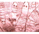Logo Photo