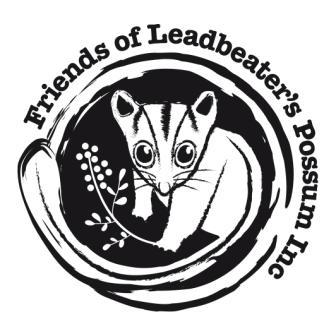 Logo Photo