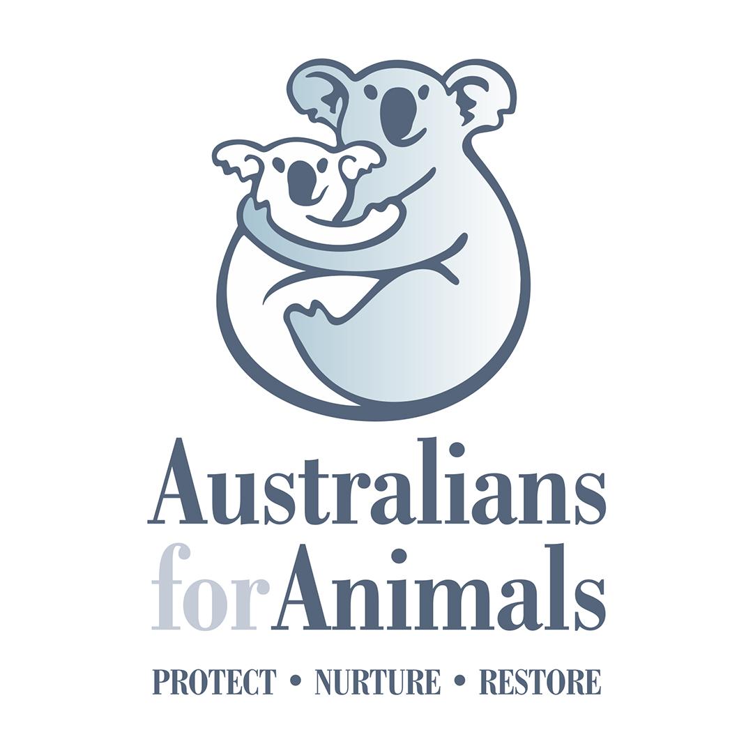 Logo Photo