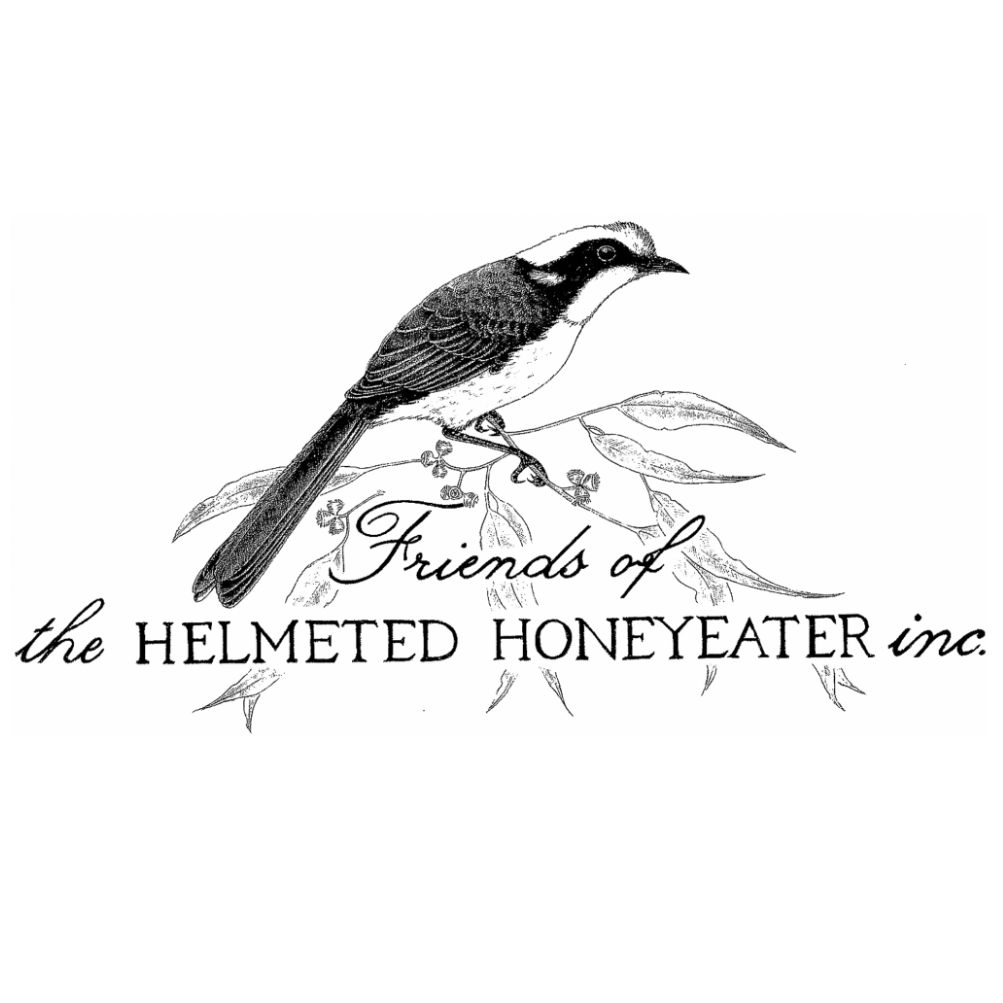 Logo Photo