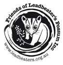 Logo Photo
